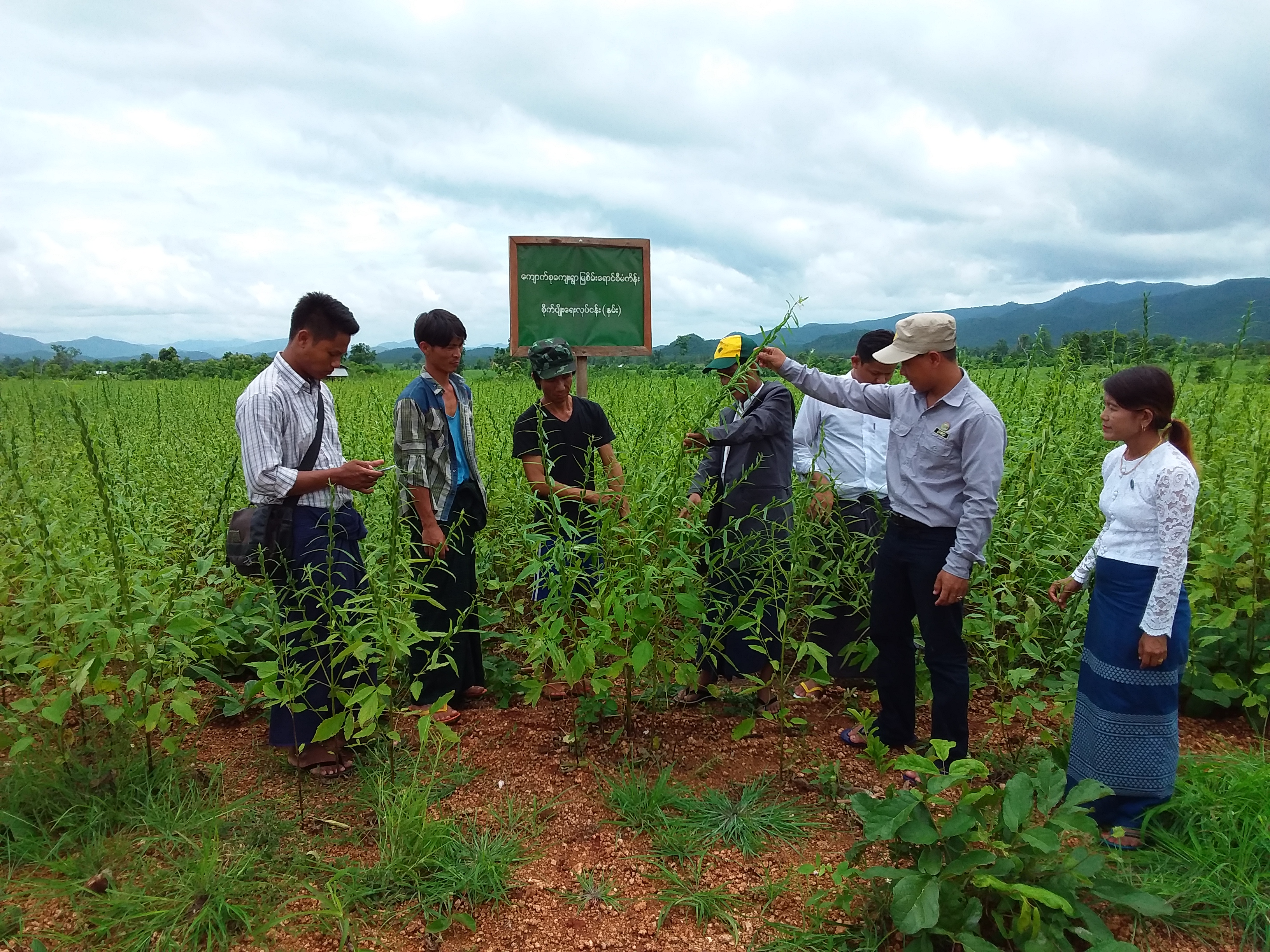 2716