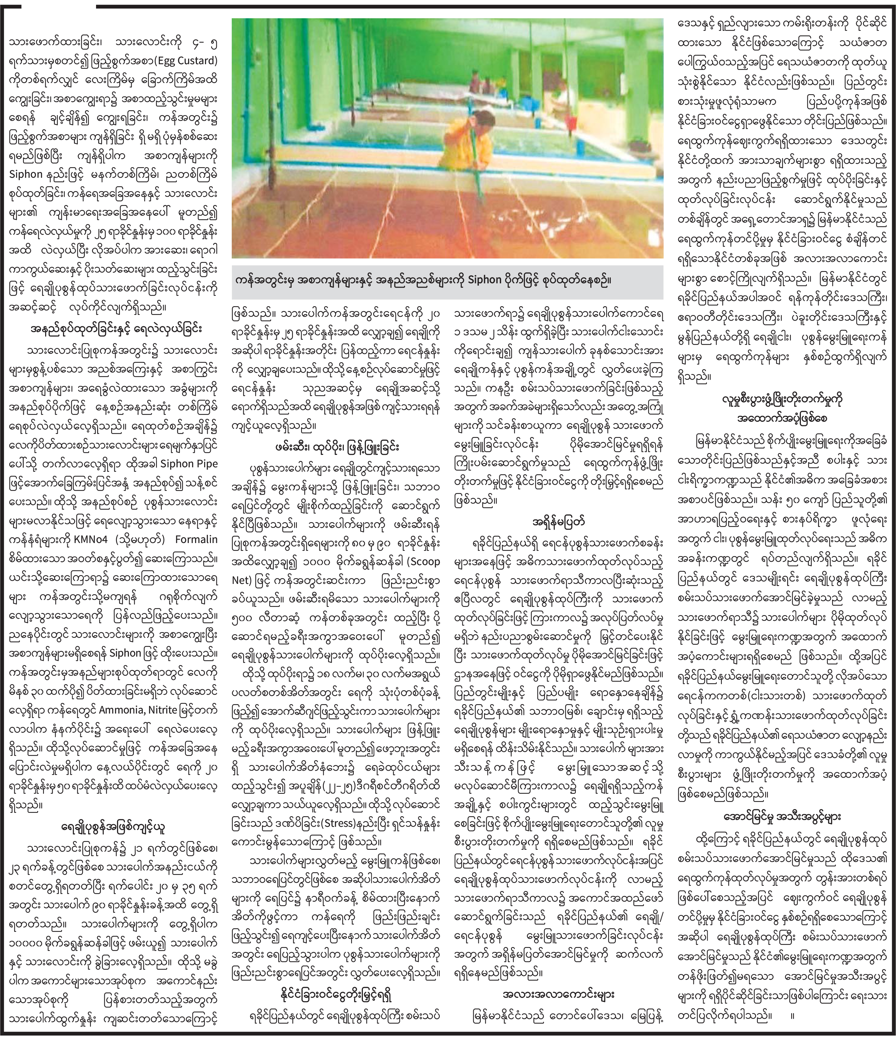 mdn