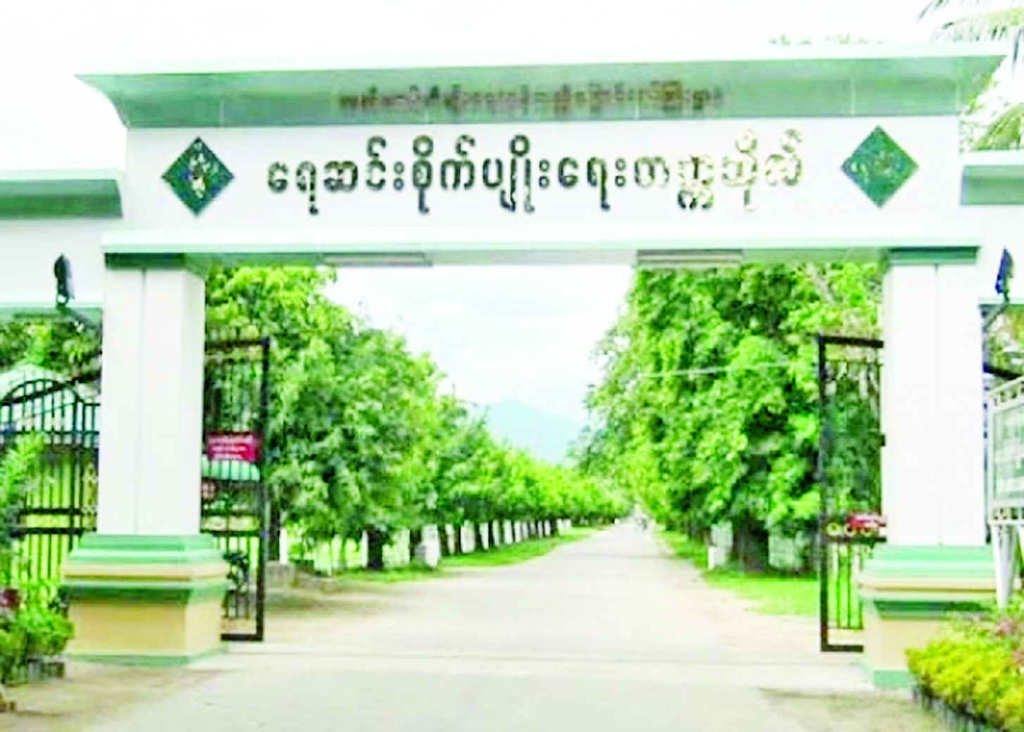 mdn