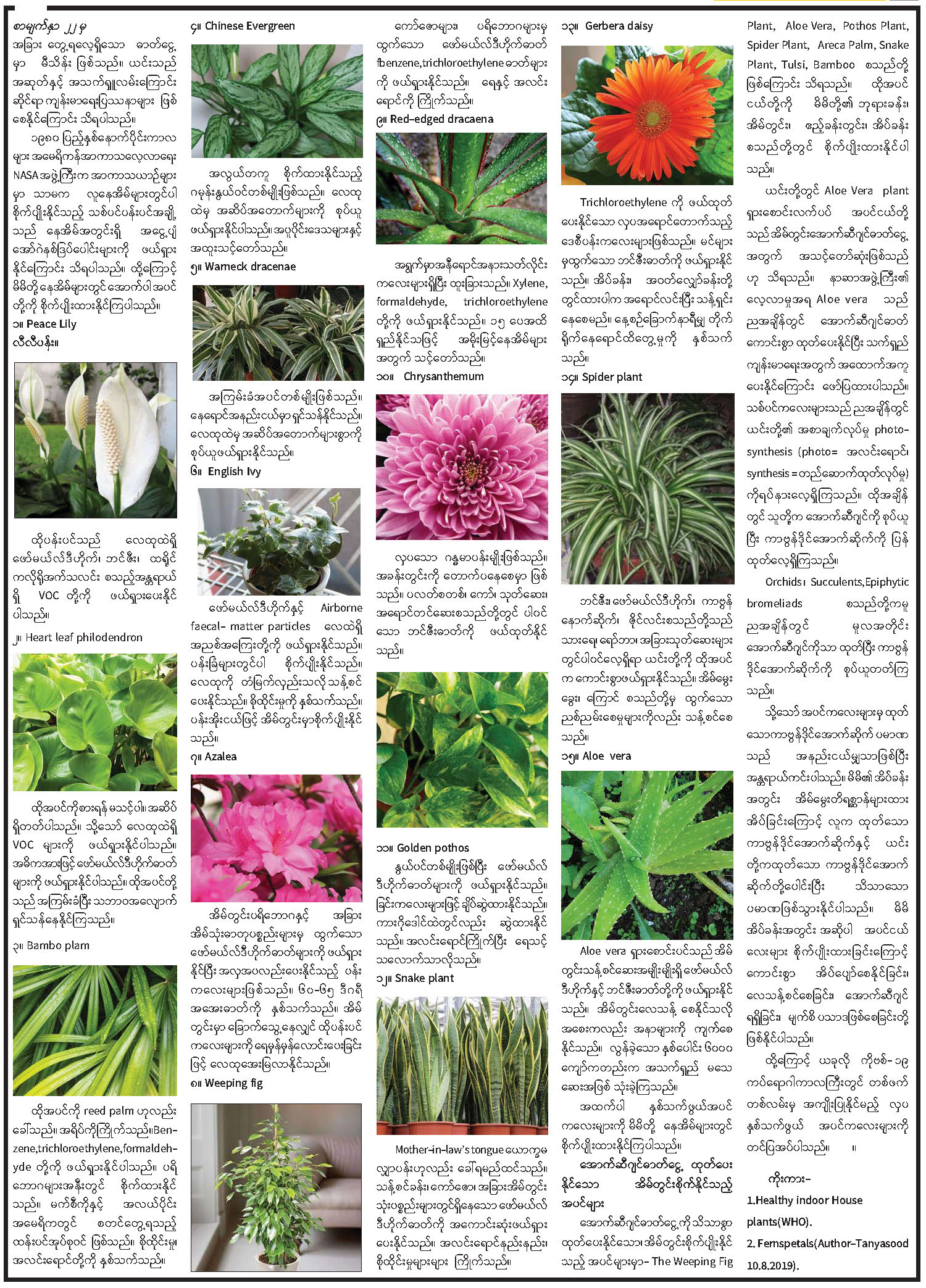 Dr Myint Than 2