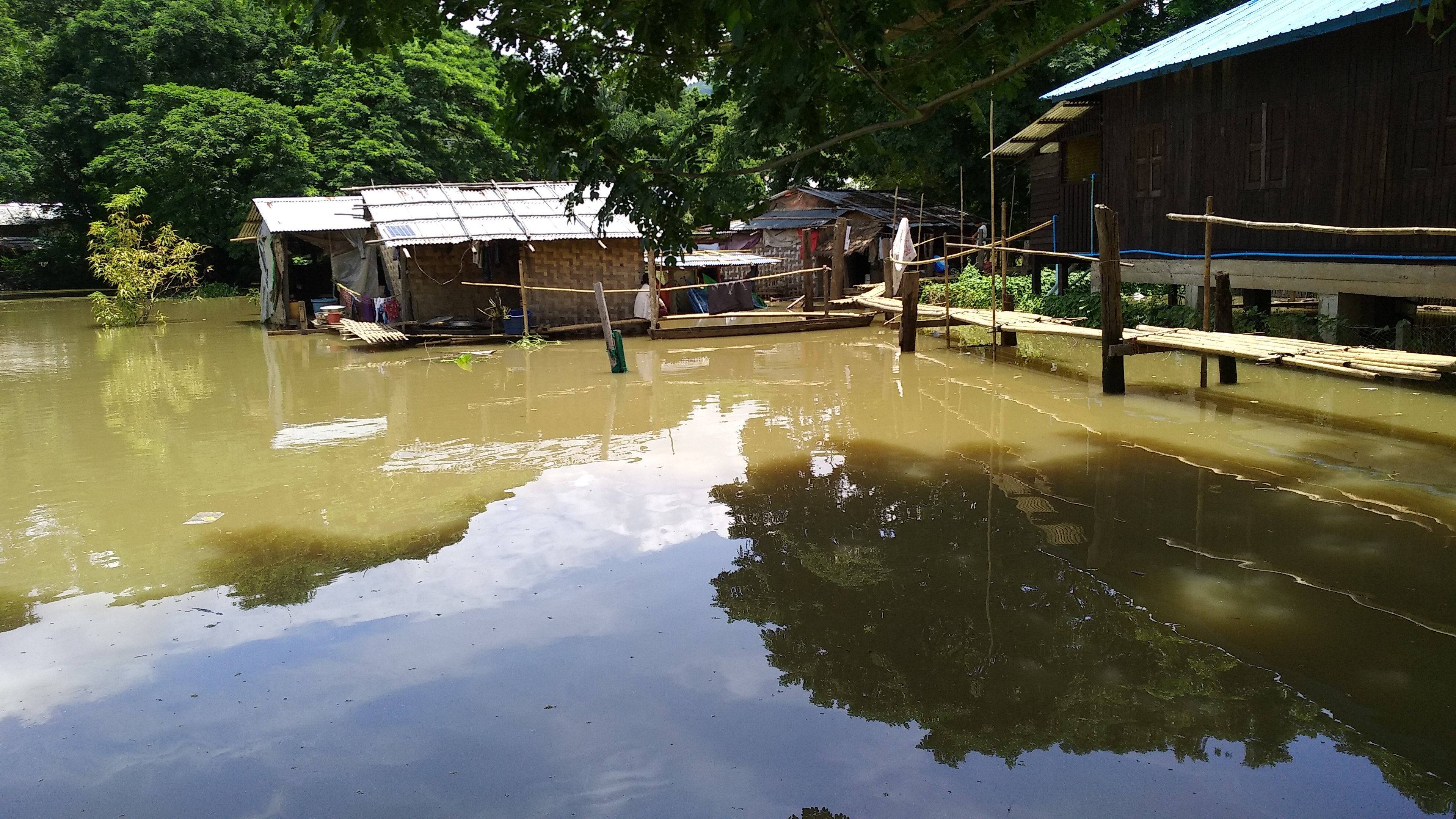 mdn