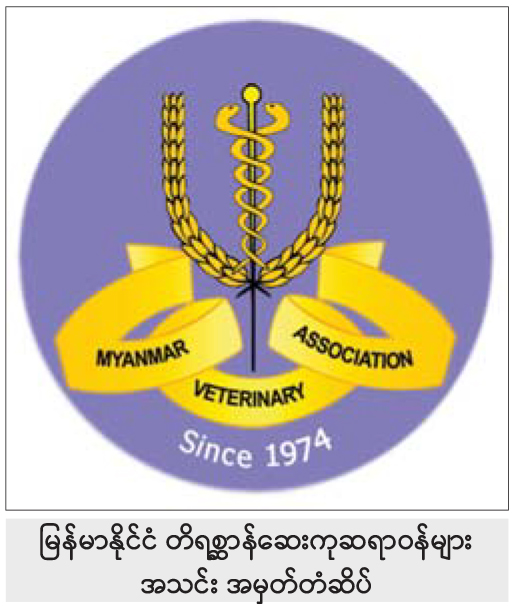 mdn