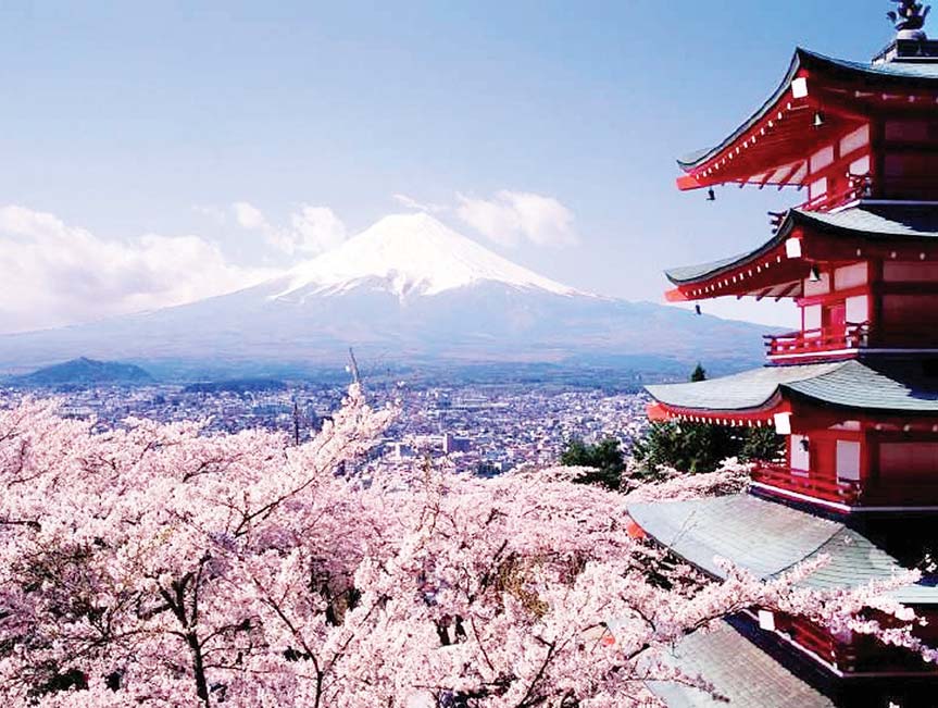 mmal Japan 003