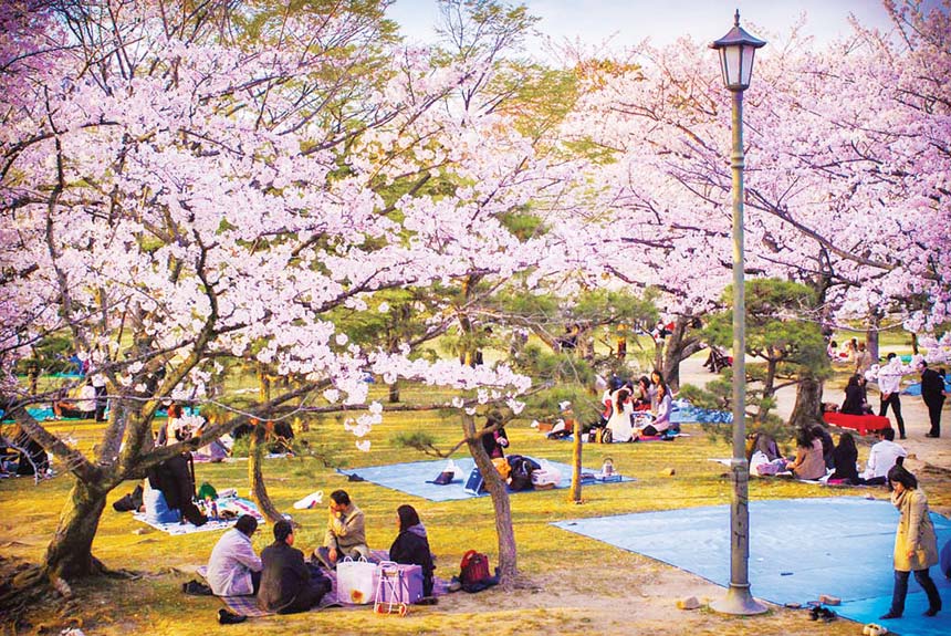 mmal Japan 004