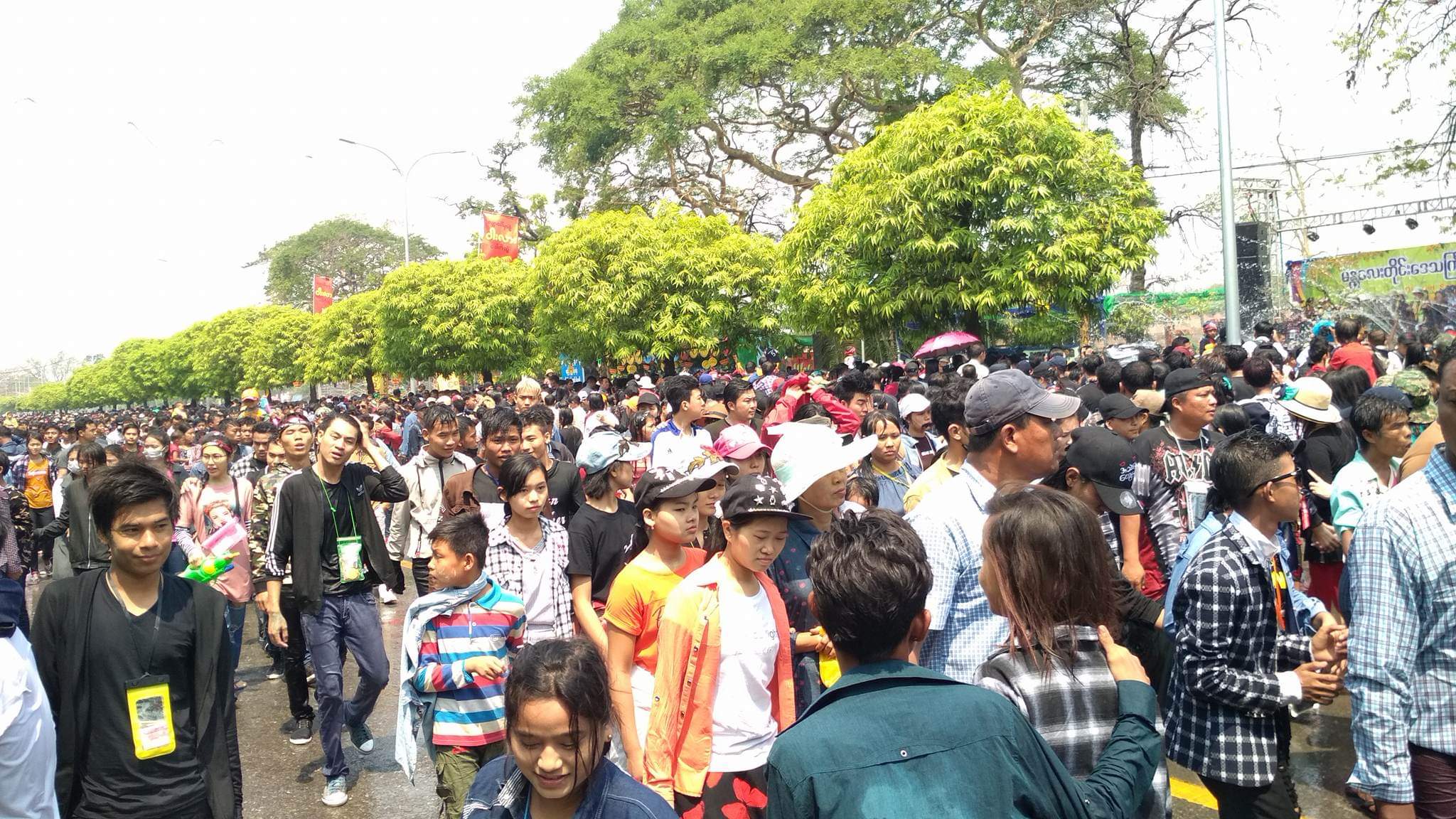 mdn